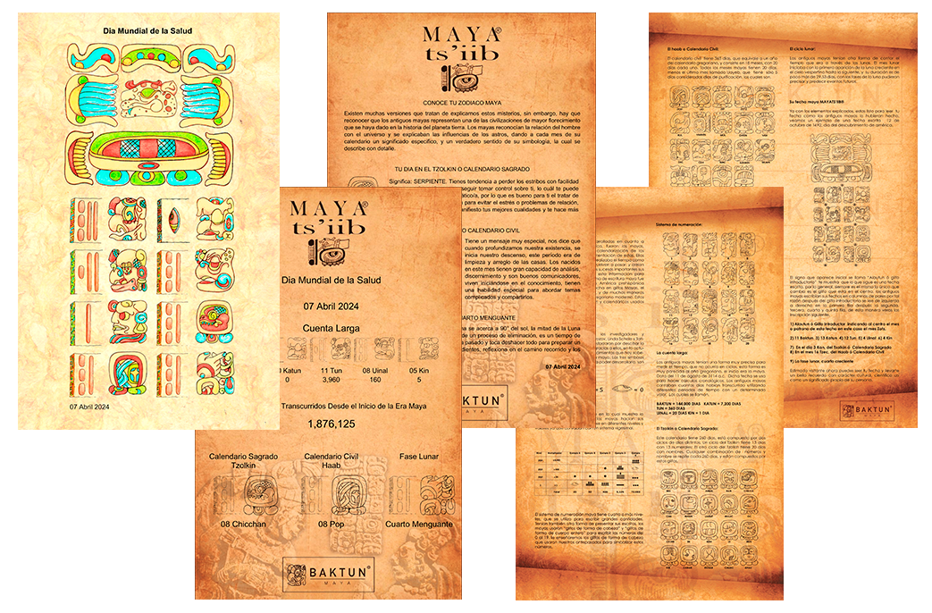 Páginas del calendario maya impresas en papel amate